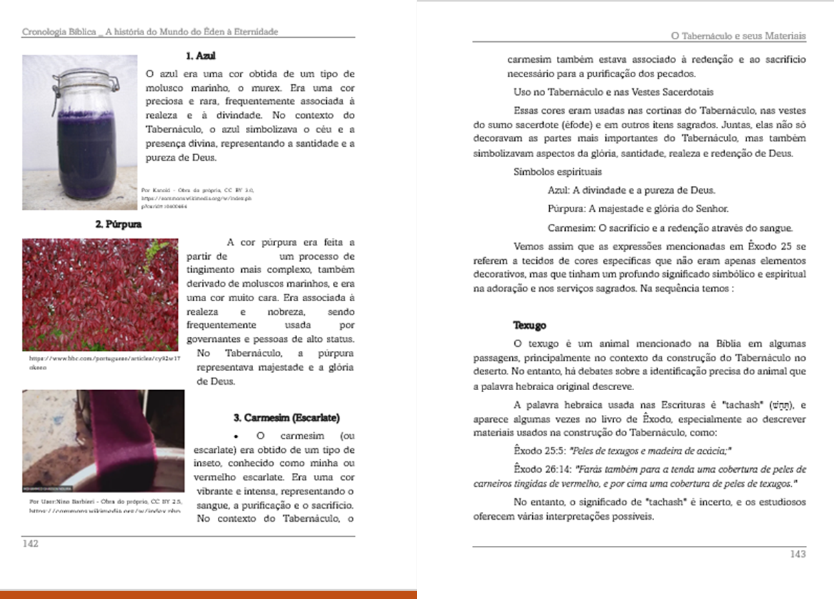 Imagem Cronológica 1